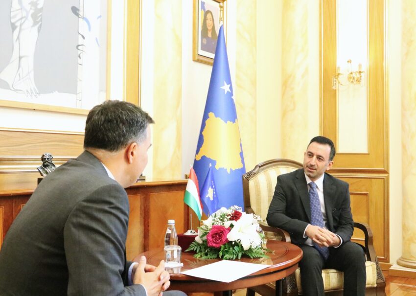 Kreu i Partisë Demokratike, Basha, zhvillon bisedime me ambasadorin hungarez