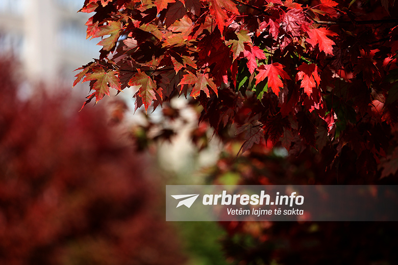 Vranësira dhe periudha me diell në parashikimin e sotëm