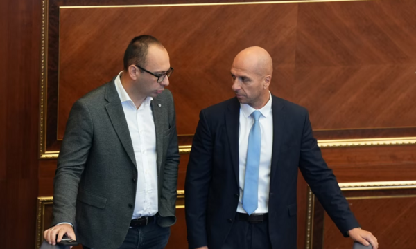 Basha kërkon Rashiqin, Simiq: Kushtetutën nuk e shkelim