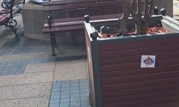 Provokime në qytetin serb ku qëndron Kombëtarja shqiptare