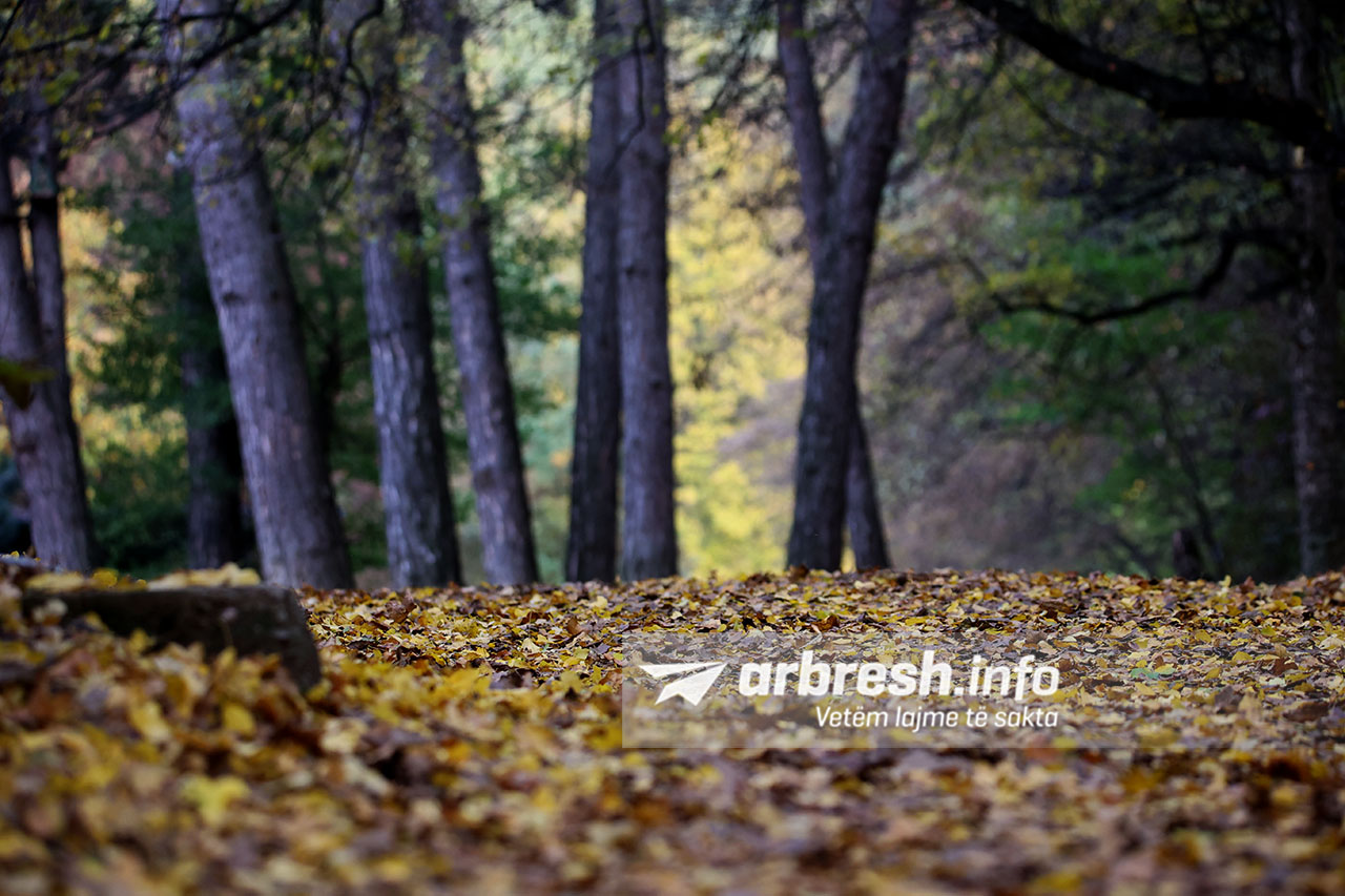 Moti i paqëndrueshëm: Diell, vranësira dhe reshje në fundjavë