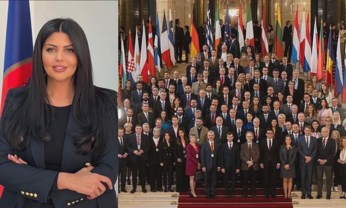 Krasniqi: MSA, arritje madhore për Kosovën nën qeverisjen e LDK-së