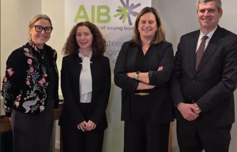 Kosova pranohet si anëtare e plotë në AIB