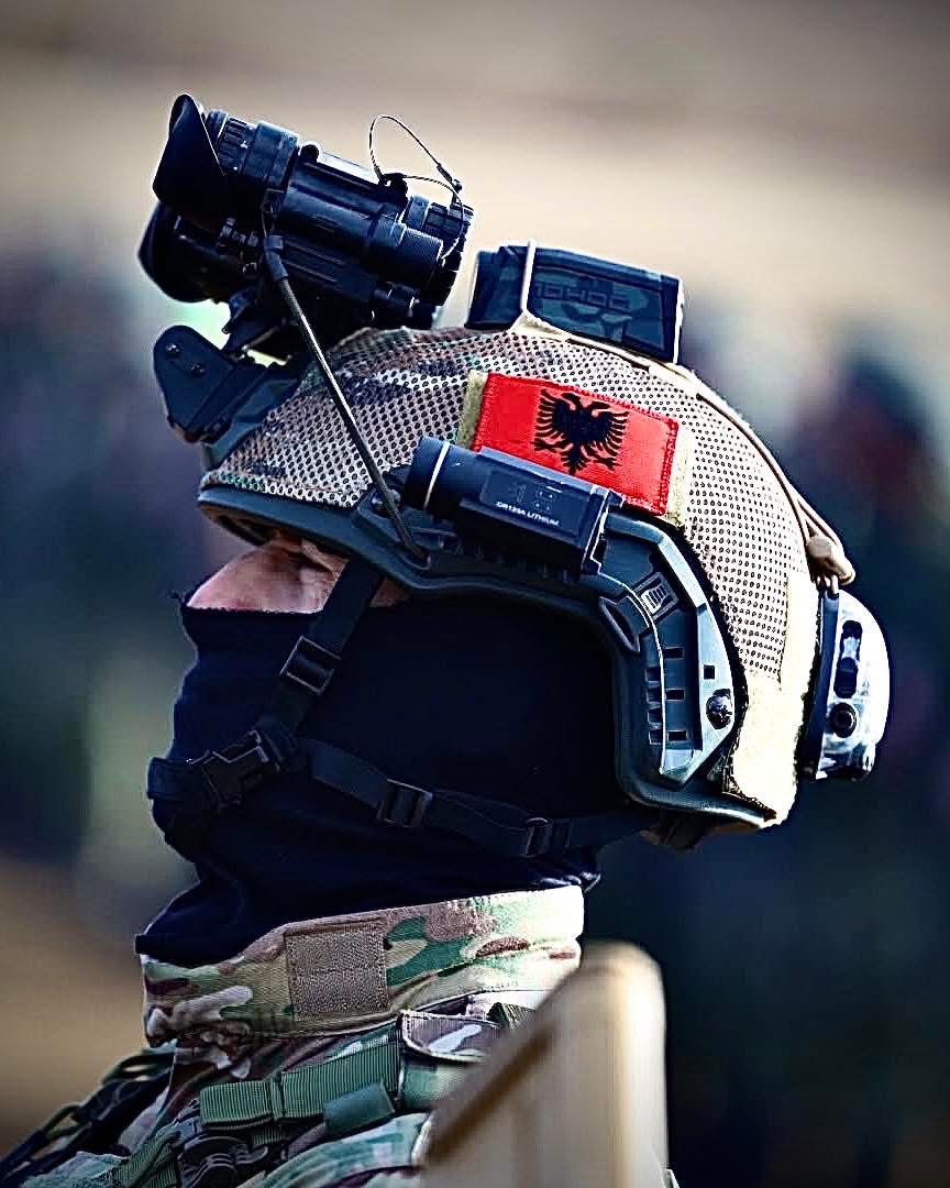 NATO përshëndet Shqipërinë në Ditën Kombëtare të saj