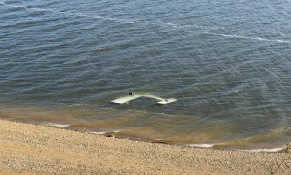 Hetime për rrëzimin e avionit në liqenin e Mavrovës