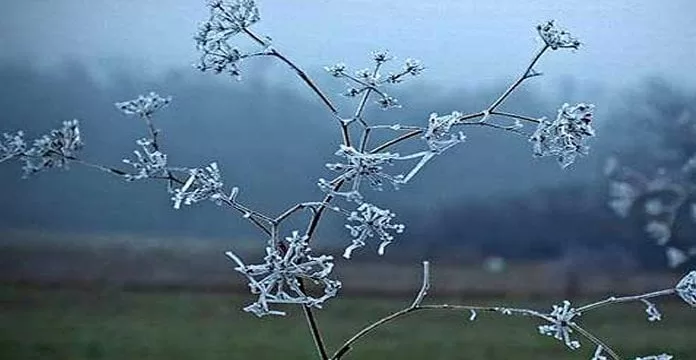 Parashikimi i motit: Vranësira dhe reshje bore të lehta sot