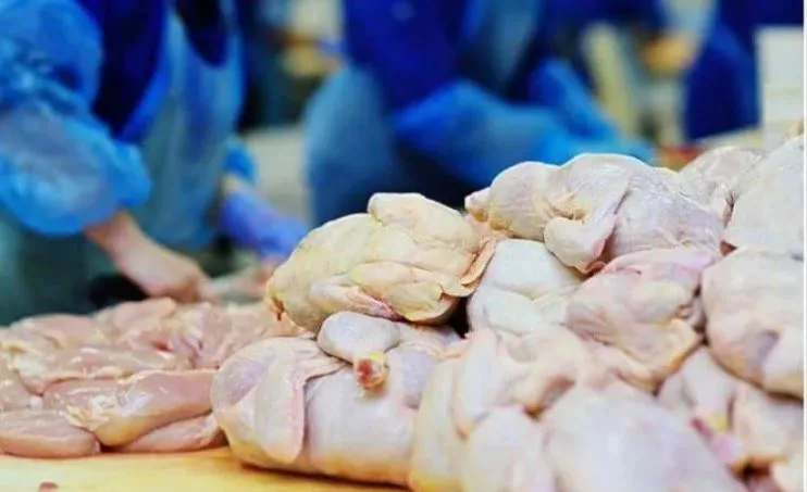 AUV Asgjëson 19,200 kg Mish Pule të Importuar nga Polonia