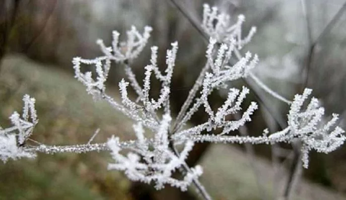 Bora vazhdon edhe nesër, pasuar nga temperatura të ulëta