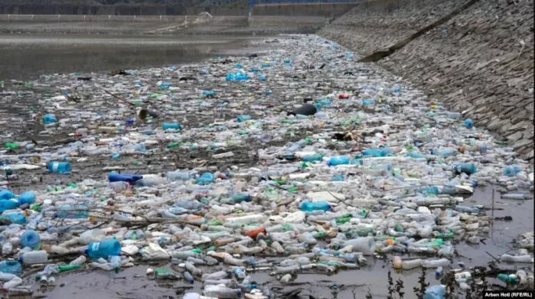 Mbetjet mbulojnë Liqenin e Badocit në masë të madhe