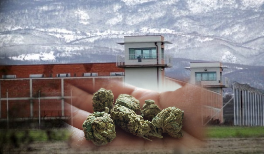Substanca narkotike zbulohen në Qendrën Korrektuese Dubravë
