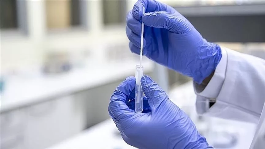 Rasti i tetë i murtajës së derrave konfirmohet në Korenë e Jugut